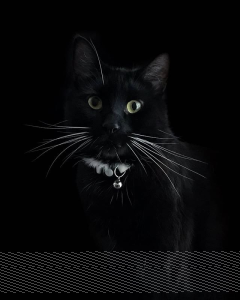 Bielsko-Biała: Konkurs "Rodzinna Kreatywność - robienie czegoś, czegoś plastycznego"