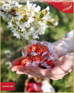 Konkurs "Lindor Dla Ciebie"