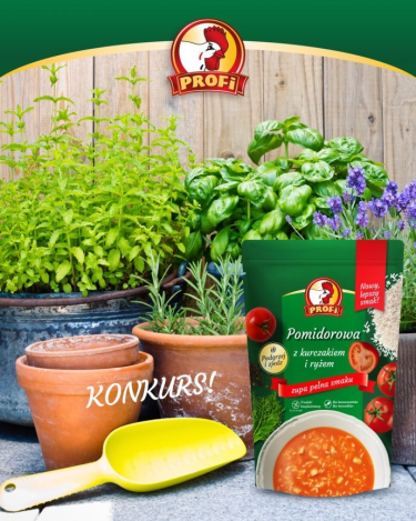 Konkurs fotograficzny "Letnia aranżacja"