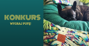 Wygraj pufę dla psa