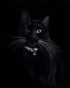 Konkurs fotograficzny "Bioróżnorodność i Georóżnorodność regionu Środkowego Pomorza"