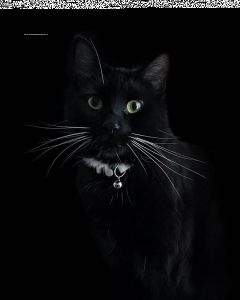 Wygraj książkę "Dolina nadziei"