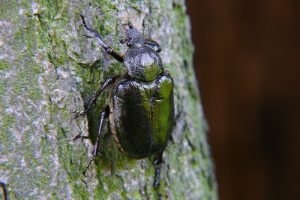 Konkurs "Lipiec 2020"