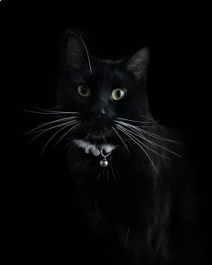 Wygraj Weekend dla dwojga w Hotelu Nad Parsętą w Kołobrzegu