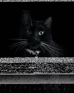 Wygraj książkę "Gegenpressing i tiki-taka"