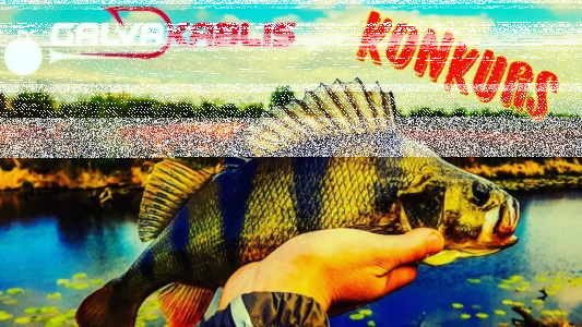 Konkurs "Pike Hunter"