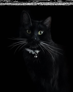 Konkurs "Podziel się z nami swoim zdaniem na temat webinarów"