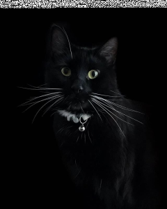 Konkurs "KLORANE – wygraj zestawy kosmetyków do włosów!"