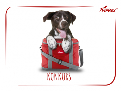 Konkurs "Pupil pełen radości"