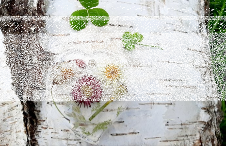 Wygraj wybraną przez siebie biżuterię