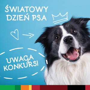 Konkurs fotograficzny "Z okazji Dnia Psa"