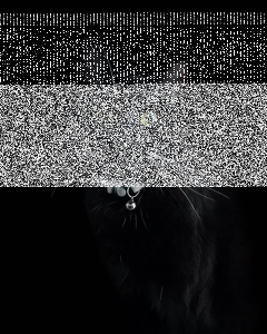 Konkurs od Dziś ja gotuje