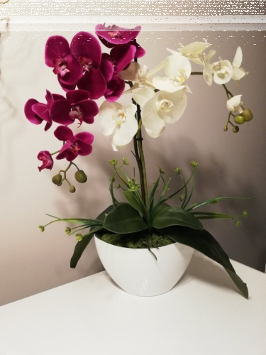 Konkurs od Stroik Kompozycje kwiatowe