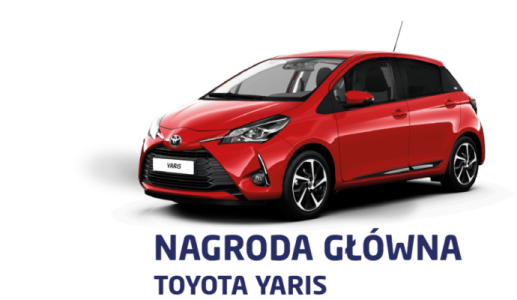 Loteria "Cechini Muszyna" Dino