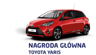 Loteria "Cechini Muszyna" Dino