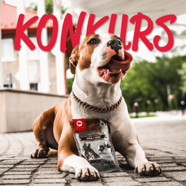 Wygraj legowisko lub zestaw psich przysmaków