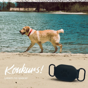 Konkurs "Latem na spacer"