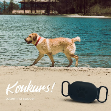 Konkurs "Latem na spacer"