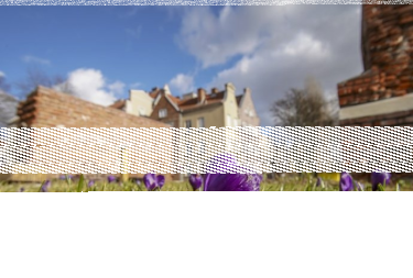 Konkurs "Uchwyć miejską łąkę, zrób zdjęcie i wygraj nagrody"