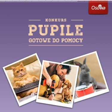 Gdańsk: Konkurs "Pupile gotowe do pomocy"