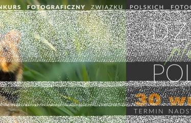 Konkurs "Dzikie, piękne, polskie"