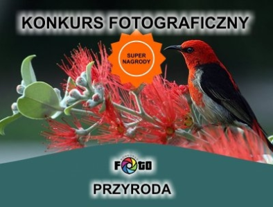 Konkurs "PRZYRODA"