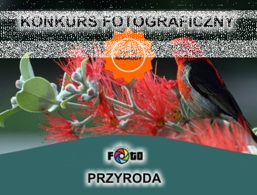 Konkurs "PRZYRODA"