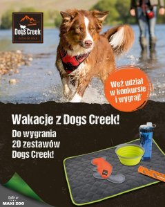 Konkurs fotograficzny "Dogs creek"