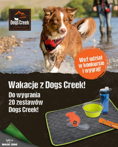 Konkurs fotograficzny "Dogs creek"