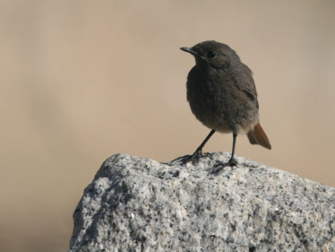 Konkurs "Sierpień 2020"