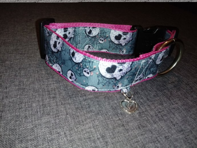 Wygraj akcesoria dla psa