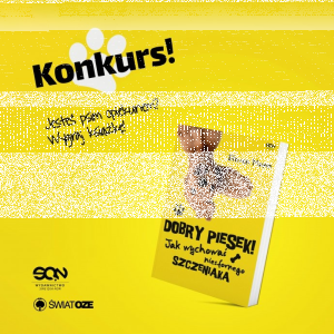 Wygraj książki Steve’a Manna "Dobry piesek. Jak wychować niesfornego szczeniaka?"