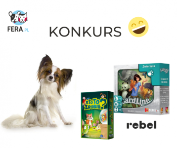 Konkurs dla milusińskich właścicieli wszystkich czworonogów