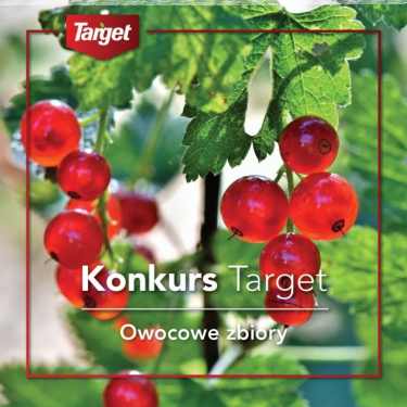 Konkurs fotograficzny "Owocowe zbiory"