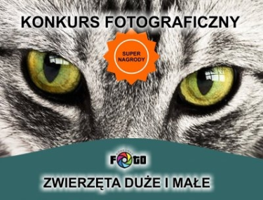 Konkurs "Zwierzęta duże i małe"