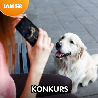 Konkurs "Najpiękniejsze zdjęcie – sierpień 2020"