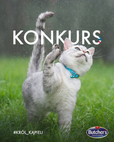 Konkurs fotograficzny "Zwierzak Tygodnia: Król/ Królowa Kąpieli"