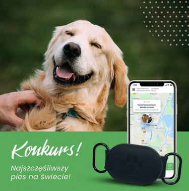 Konkurs "Najszczęśliwszy pies na świecie"
