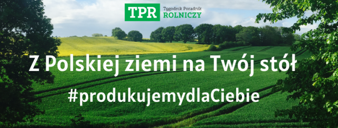 Konkurs "Z Polskiej ziemi na Twój stół"