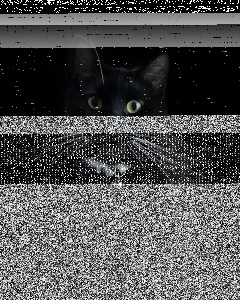 Konkurs "AADLASKÓRYZNATURY"