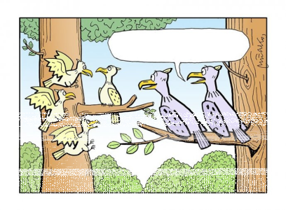 Wygraj kalendarz Andrzeja Mleczki na 2021 rok! do godz. 9:00