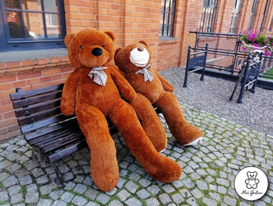 Wygraj zabawkę od Misia Gustawa!