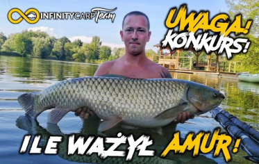 Konkurs "Zgadnij wagę amura - wędkarski"