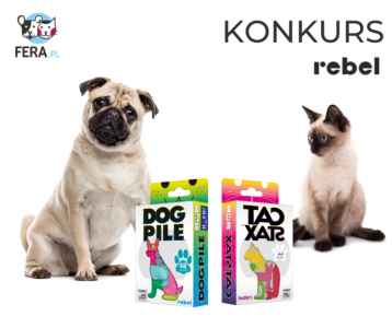 Konkurs na weekend dla milusińskich właścicieli wszystkich czworonogów