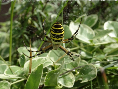 Konkurs "Świętokrzyska przyroda"