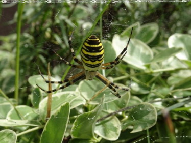 Konkurs "Świętokrzyska przyroda"