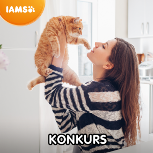 Konkurs "Miłość – wrzesień 2020"