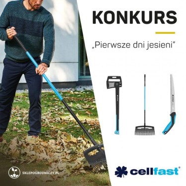 Konkurs "Pierwsze dni jesieni"