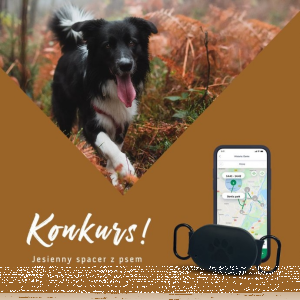 Konkurs fotograficzny "Jesienny spacer"