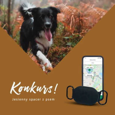 Konkurs fotograficzny "Jesienny spacer"